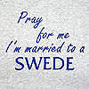 %Swedish-catname% Pray For Me I'm Married To A Swede T-Shirt