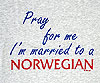 %Swedish-catname% Pray For Me I'm Married To A Norwegian T-Shirt