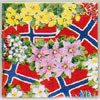 %Swedish-catname% Norwegian Festival Luncheon Napkins
