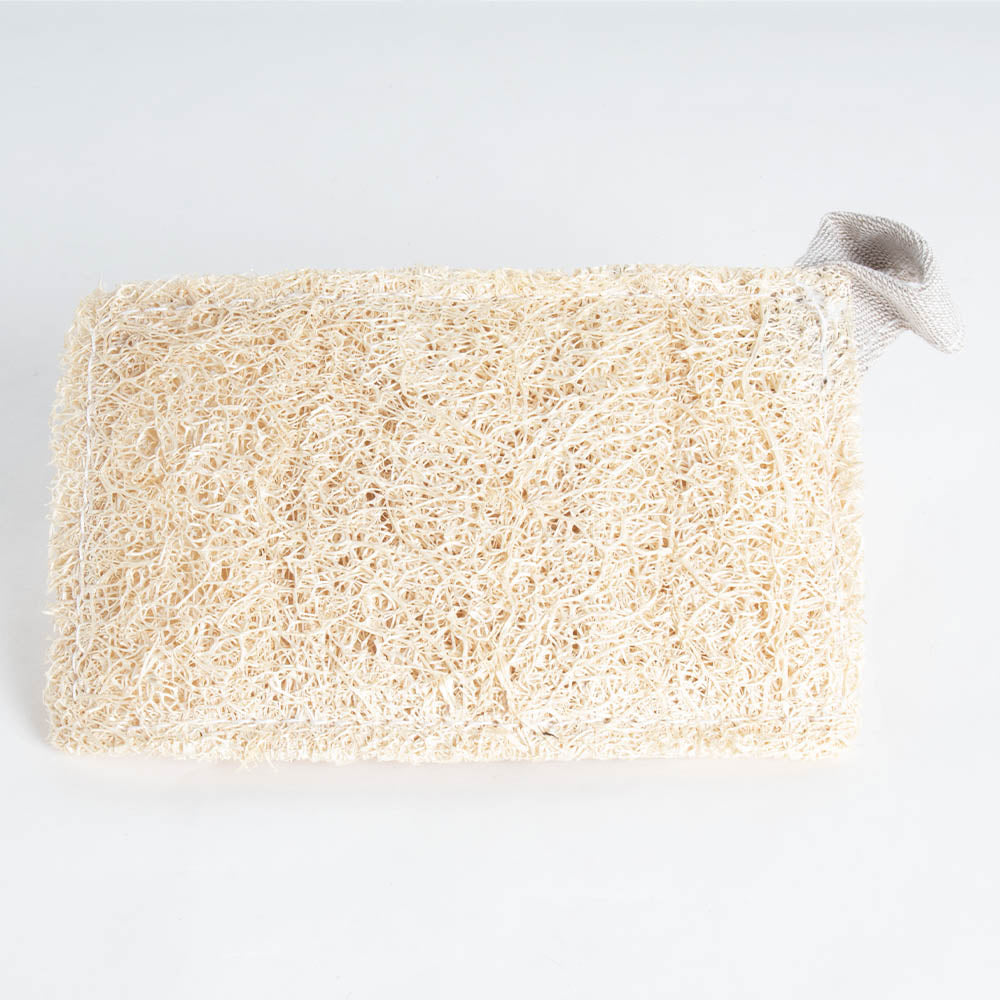 Scour Pad Loofah (set of 2)