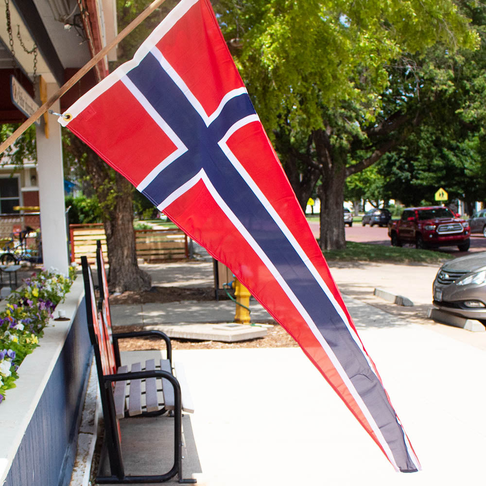 Pennant Flags 79"