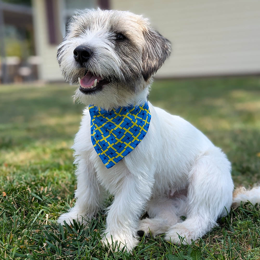 Swedish Flag Pet Bandana