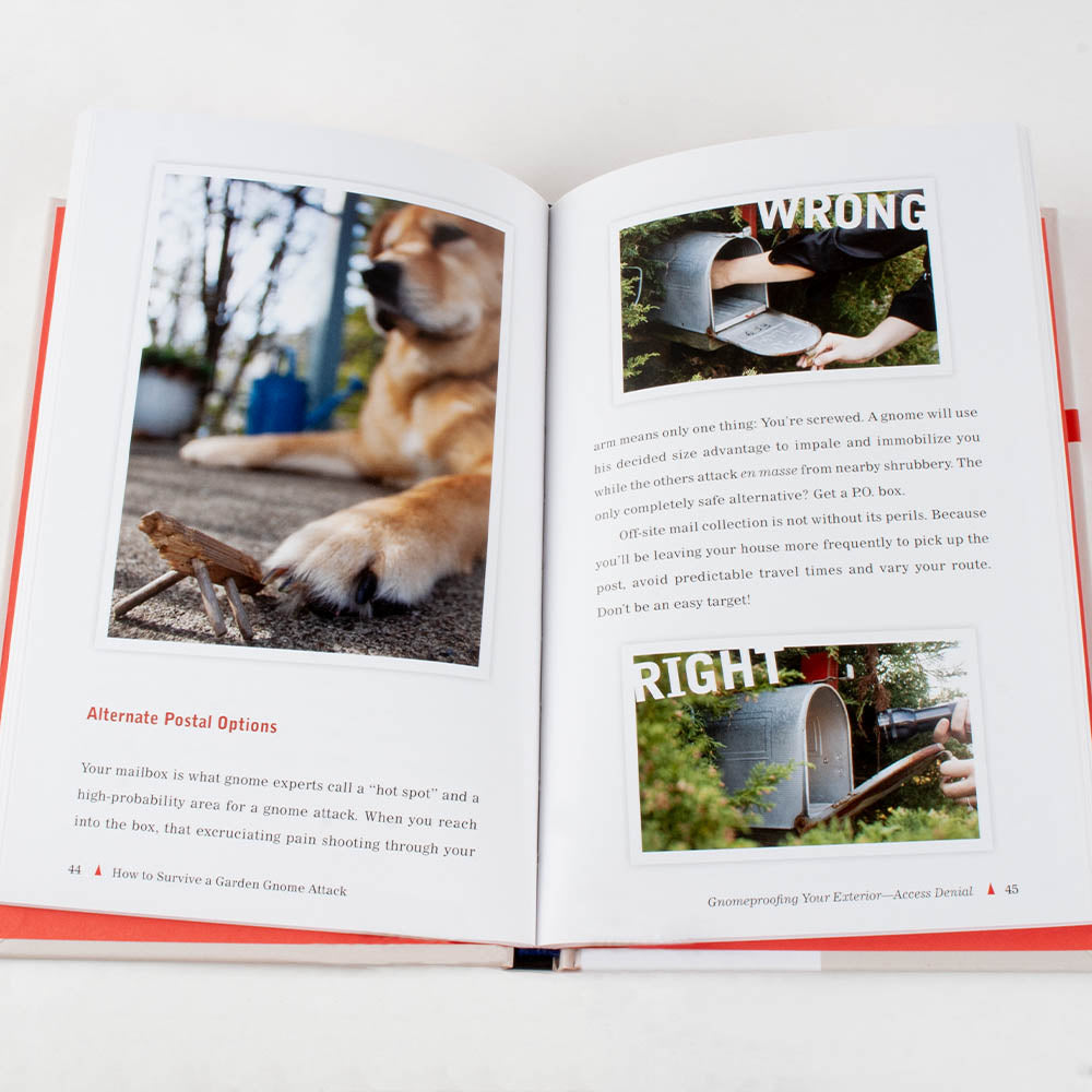 How To Survive A Gnome Attack (book)