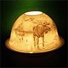 Moose Forest